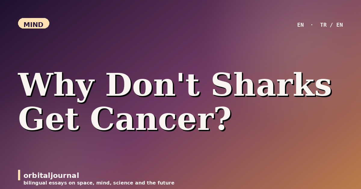 Why Don't Sharks Get Cancer?